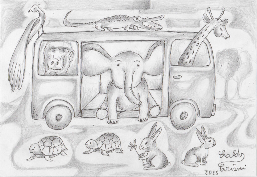 Zoo pulmino Fiat 900